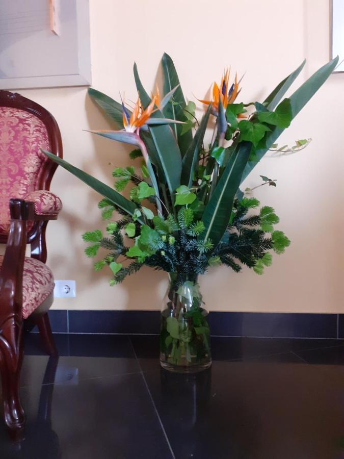 Hotel Principe Da Beira 푼다오 외부 사진